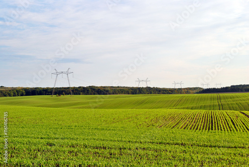 green field and a sky