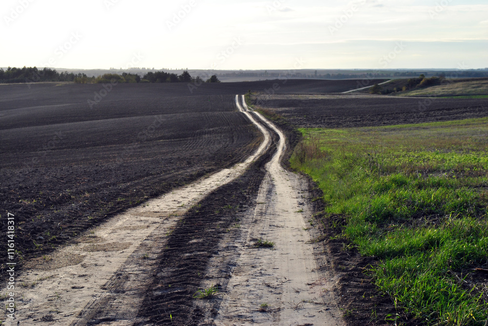Fototapeta premium path in the field