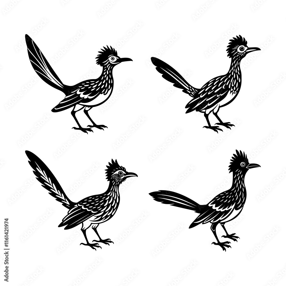 set of roadrunner Bird silhouette, black and white silhouette, vector and illustration set of roadrunner Bird silhouette, black and white silhouette, vector and illustration