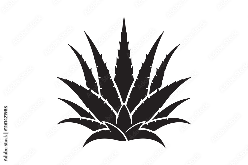 Alovera vector silhouette Alovera vector silhouette