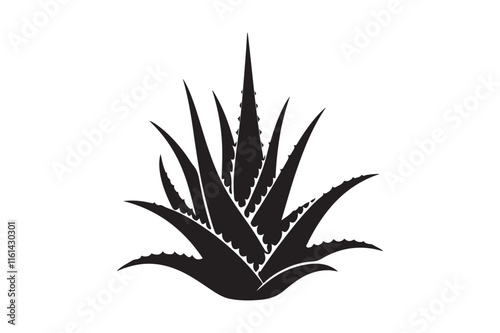 Alovera vector silhouette  57.eps