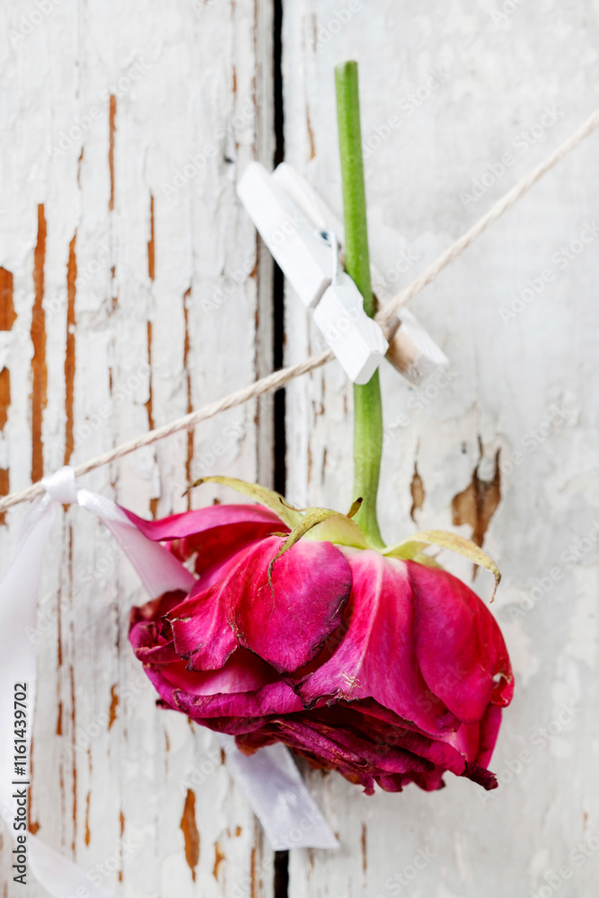 Woman shows how to make a simple Valentine's Day decoration with semi-dry roses, string and clothes pegs. Step by step, tutorial.