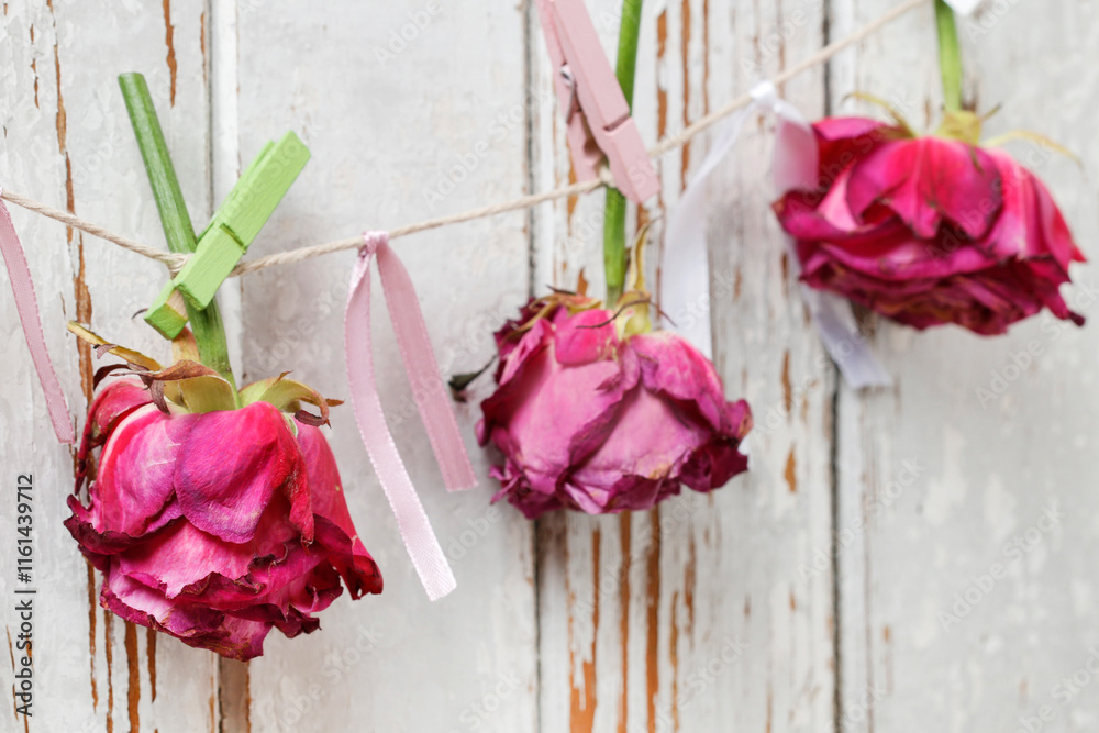 Florist at work: woman shows how to make a simple Valentine's Day decoration with semi-dry roses, string and clothes pegs. Step by step, tutorial.