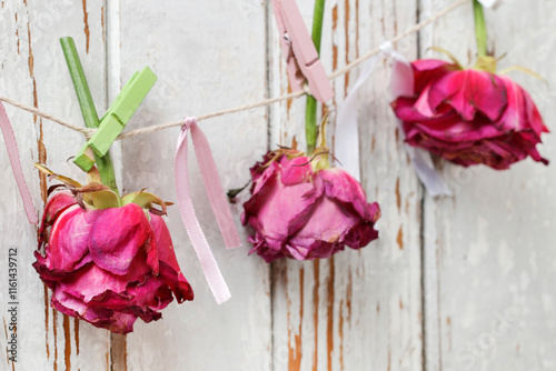 Obraz na płótnie Florist at work: woman shows how to make a simple Valentine's Day decoration with semi-dry roses, string and clothes pegs. Step by step, tutorial. w salonie