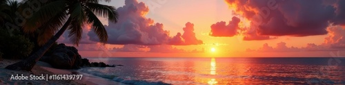 Sunset over calm Caribbean Sea, silhouetted coconut palms , photography, sunset