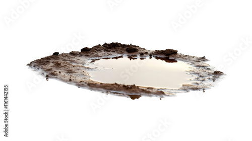 Muddy puddle mirroring cloudy sky, transparent backdrop enabling seamless digital composition