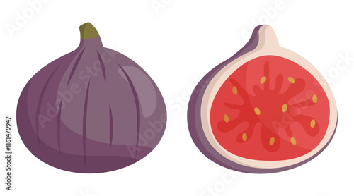 Vector fig fruit whole and slice. Flat design isolated.