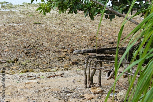 Low tide of a shore in Ishigaki Island  photo