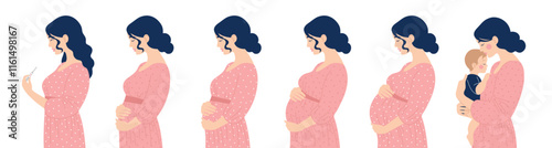 Set of women, path from pregnancy test through different stages to motherhood. Mom with baby. Vector isolated flat illustration of people
