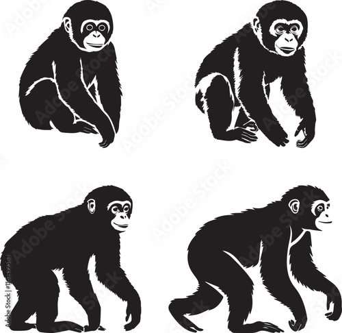 silhouette of gibbon on white background