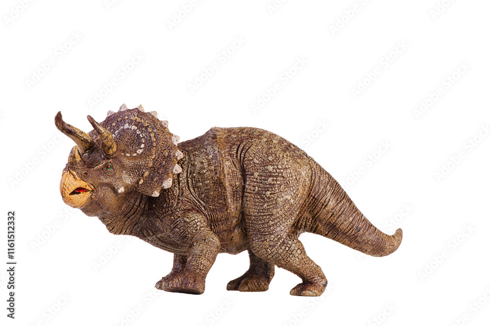 Isolated triceratops dinosaur. Dinosaur toy on white background. Triceratops were a really big dinosaurs eating herbivorous.