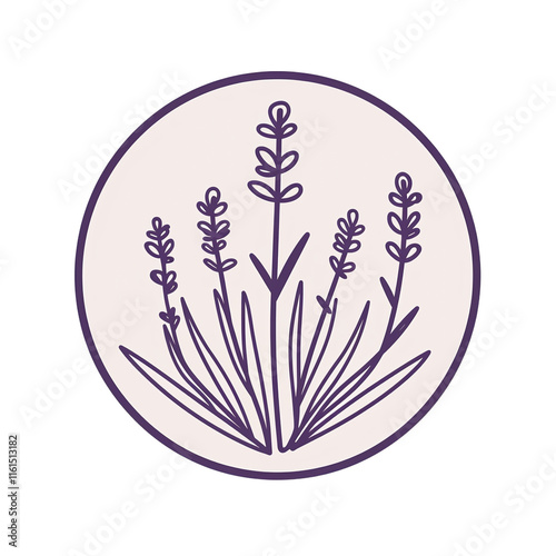 Lavender Flowers photo