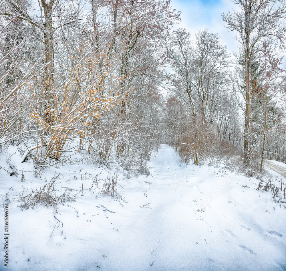 Amazing view of winter road in the forest. Amazing view of winter road in the forest.