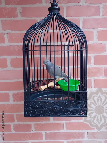 A black ornate birdcage with a gray turtledove inside sits on a brick wall with a patterned mosaic design. The cage has a green water dish and a decorative wooden perch photo