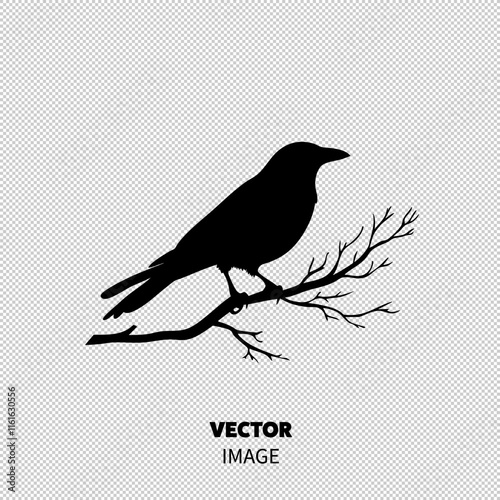 Silhouette of a striking bird perched on a bare branch, exuding a sense of mystery and elegance.