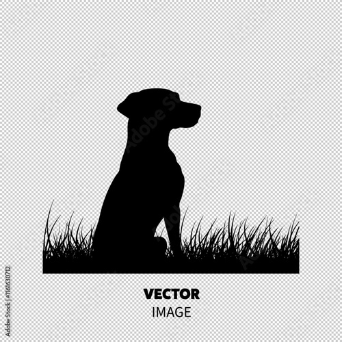 Silhouette of a dog sitting in tall grass against a light background.