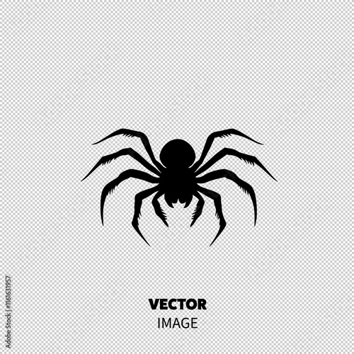 A black silhouette of a spider with detailed legs and body on a white background.