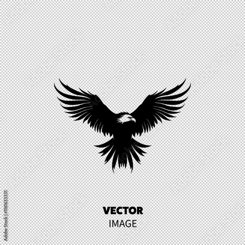 Illustration of a majestic eagle with outstretched wings, showcasing strong features and a fierce expression.