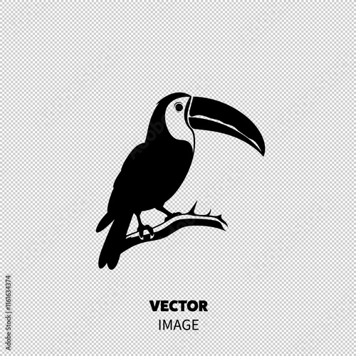 Silhouette of a toucan perched on a branch, showcasing its distinct large bill and sleek body.