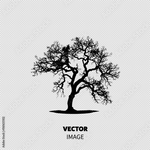 Silhouetted tree with intricate branches against a light background.