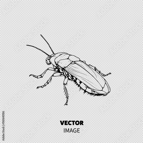 Detailed illustration of a beetle showcasing intricate features and textures.