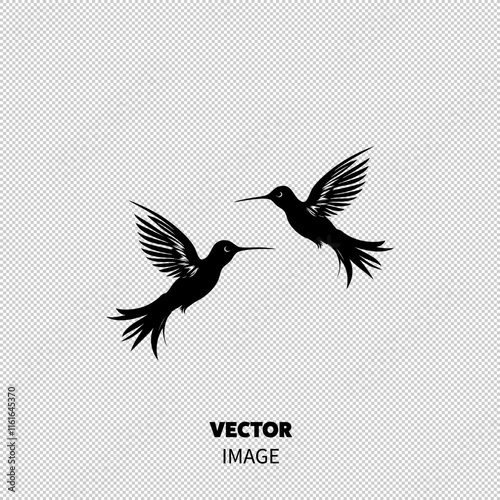 Two elegant black hummingbirds in mid-flight, showcasing their graceful wings against a white background.