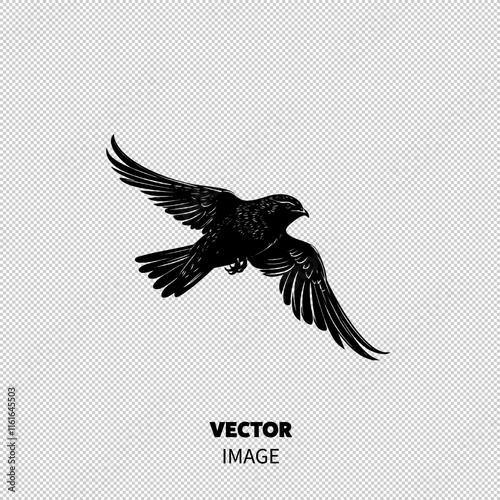 A striking black bird in mid-flight, showcasing its spread wings and sharp profile.