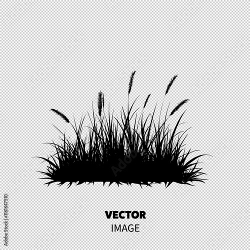 Silhouette of tall grass and reeds against a bright background.