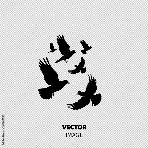 Silhouettes of various birds in flight. A dynamic representation of freedom and nature. photo