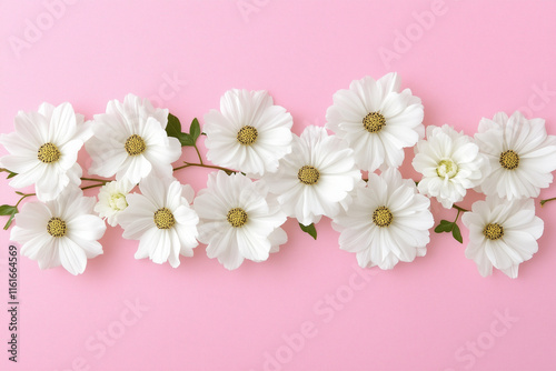 pink and white flowers