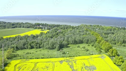 Explore the stunning vistas of Estonia showcasing expansive rapeseed fields in bright yellow, set against a backdrop of lush greenery and the shimmering sea. Nature's beauty unfolds.	