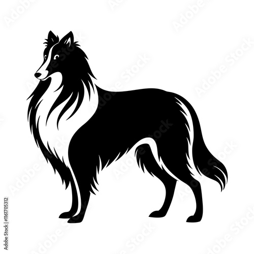 Silhouette of a Rough Collie with Luxurious Flowing Mane