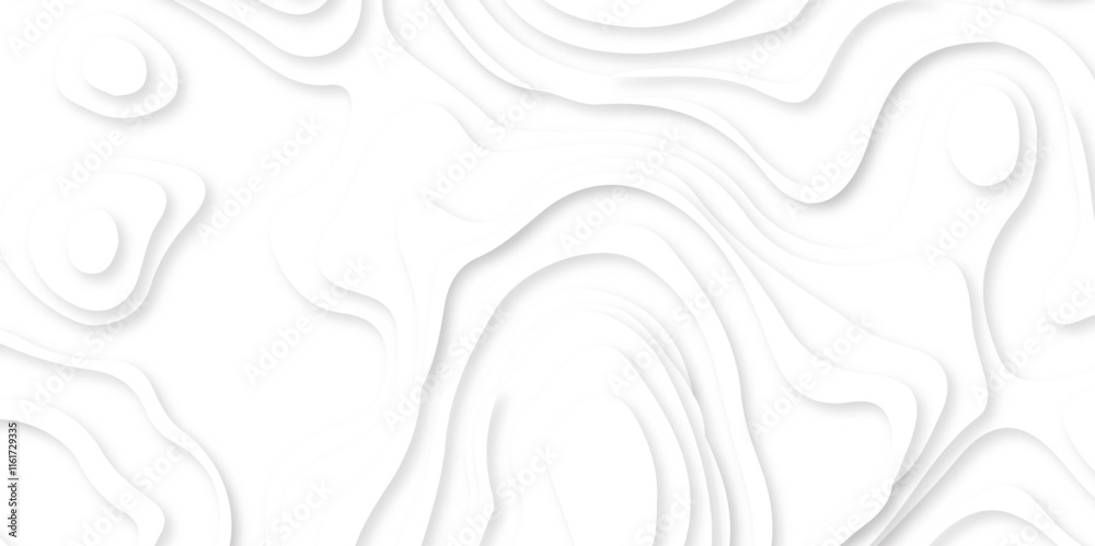 Fototapeta premium Abstract Multi layer papercut background. 3D topographic pattern. Geometric layered white wavy line white background.