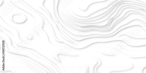 Abstract Multi layer papercut background. 3D topographic pattern. Geometric layered white wavy line white background.