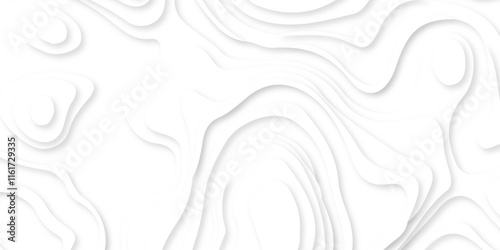 Abstract Multi layer papercut background. 3D topographic pattern. Geometric layered white wavy line white background.