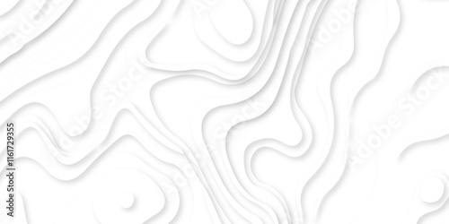 Abstract Multi layer papercut background. 3D topographic pattern. Geometric layered white wavy line white background.
