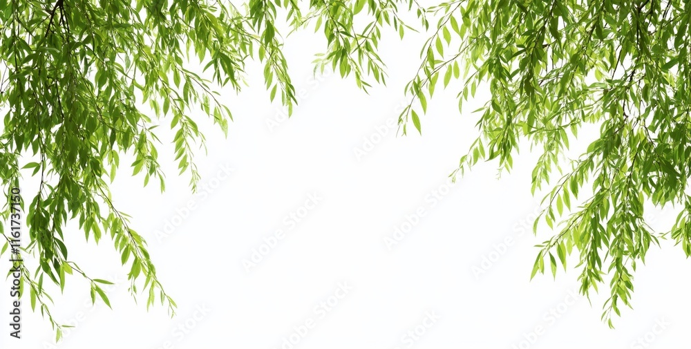 Lush green leaves frame a white background, ideal for design. Lush green leaves frame a white background, ideal for design.