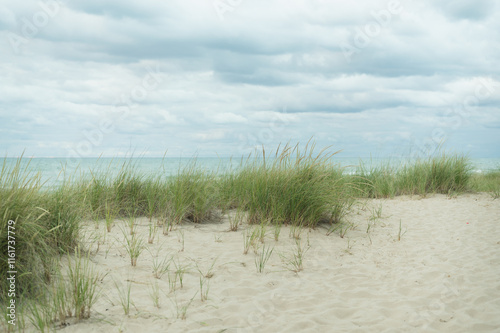 Lake Michigan shore and green grass at Indiana Dunes National Park, Indiana photo