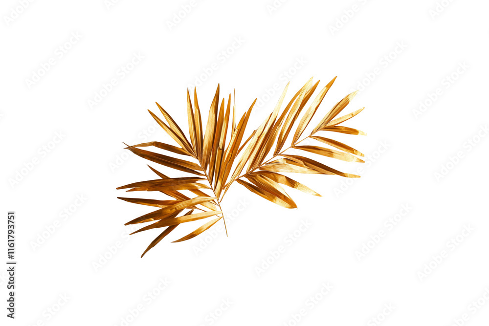 Golden leaves on a luxurious transparent background.
Golden leaves on a luxurious transparent background.