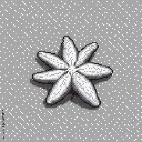 Star anise pixel art on a gray backdrop
