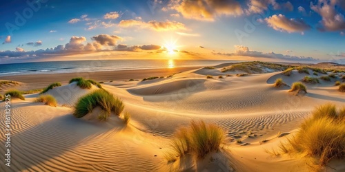 Fototapeta Naklejka Na Ścianę i Meble -  panorama landscape of sand dunes system on beach at sunrise, earth tones, vast space