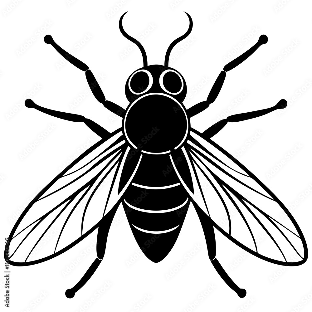 Obraz premium Fly vector