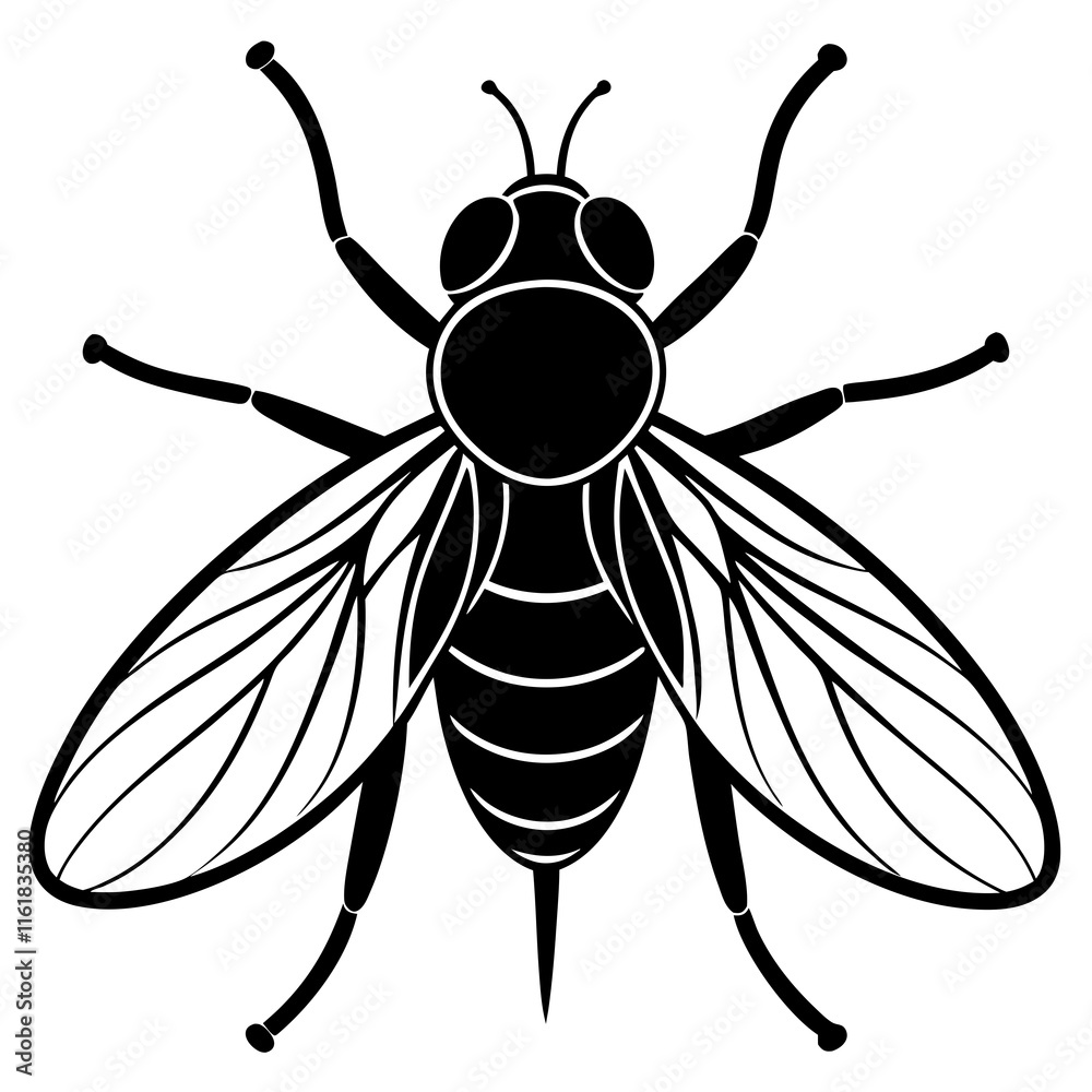 Obraz premium Fly vector