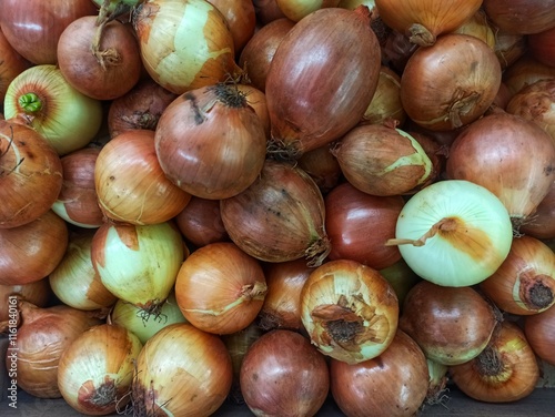 Allium cepa onions are a type of plant from the Alliaceae family which is widely used as a basic ingredient in various dishes throughout the world. photo