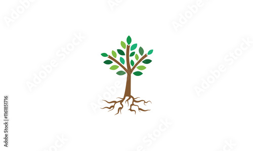 tree growing from soil