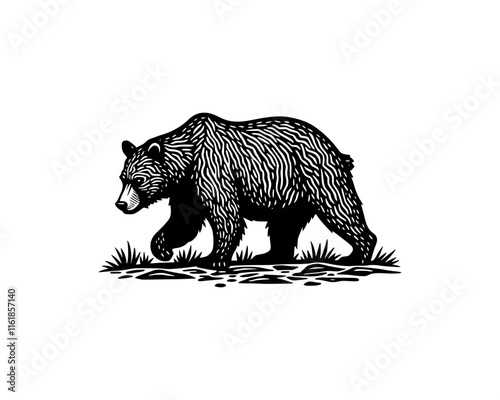 illustration of walking grizzly bear in woodcut linocut engraving black ink print style 	