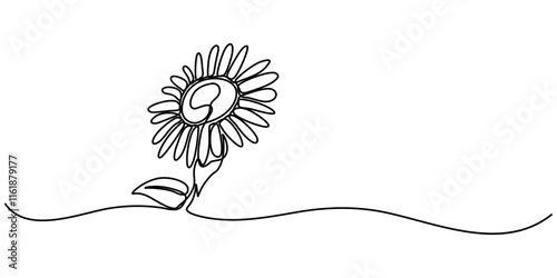 Vector continuous one simple single abstract line drawing of sun flower isolated on white background, One line sunflower element. Black and white monochrome continuous single line art, Sunflower pro.