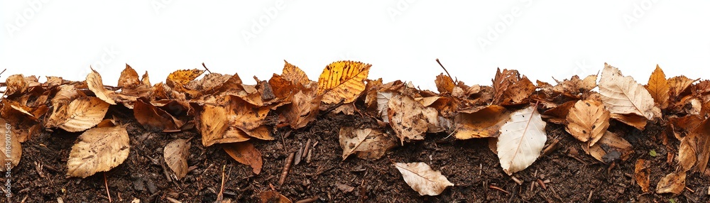 Dried leaves and soil, white isolated background. Dried leaves and soil, white isolated background.