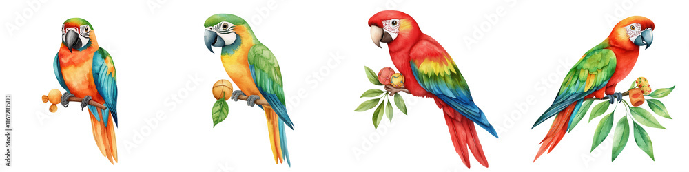 Fototapeta premium National pet day element, Colorful parrots perched on branches, showcasing vibrant feathers, isolated on transparent background.