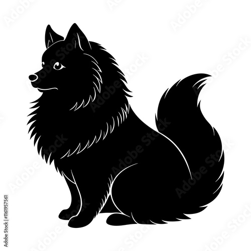 Silhouette of a Keeshond Sitting with a Fluffy Coat and Curled Tail